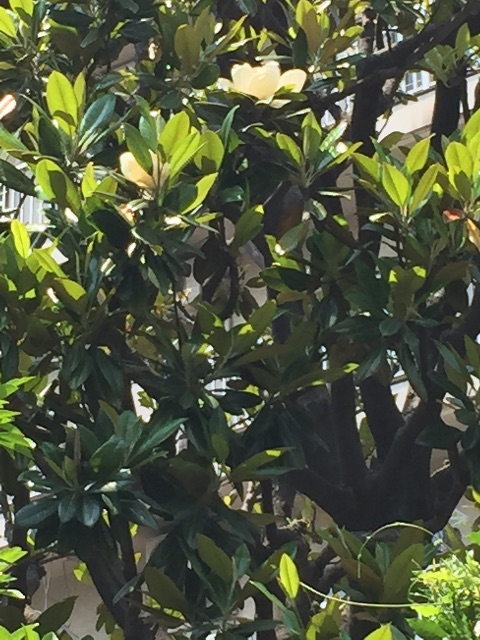 f:id:ktoku3:20150527192814j:image f:id:ktoku3:20150527192814j:image