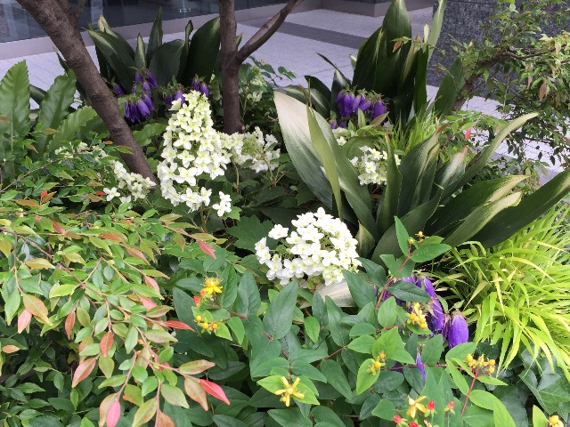 f:id:ktoku3:20150528193600j:image f:id:ktoku3:20150528193600j:image