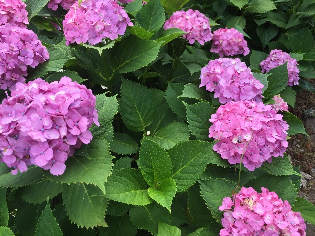 f:id:ktoku3:20150612201207j:image f:id:ktoku3:20150612201207j:image