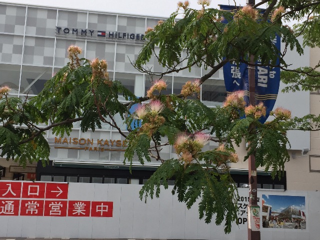 f:id:ktoku3:20150612201742j:image f:id:ktoku3:20150612201742j:image