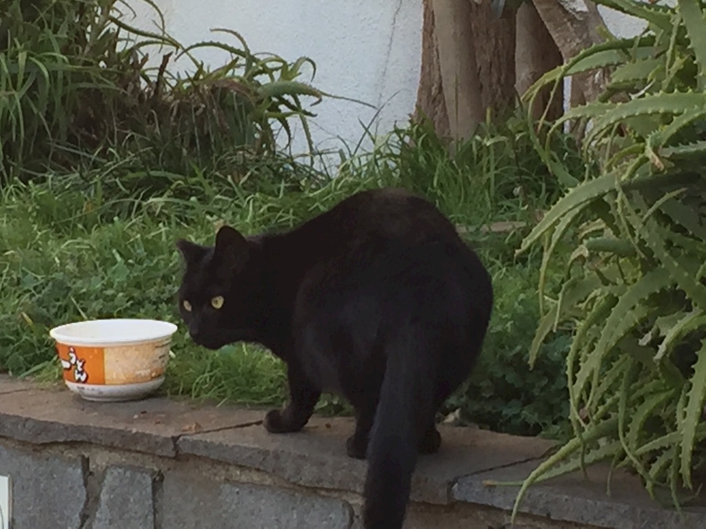 f:id:ktoku3:20160219184058j:image f:id:ktoku3:20160219184058j:image