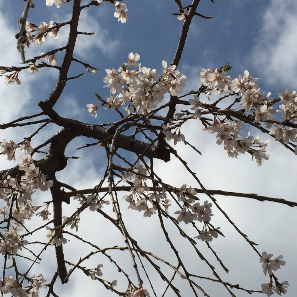 f:id:ktoku3:20160403133642j:image f:id:ktoku3:20160403133642j:image