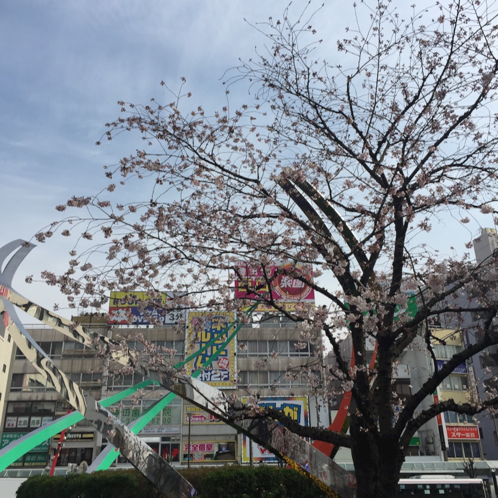 f:id:ktoku3:20160403134144j:image f:id:ktoku3:20160403134144j:image