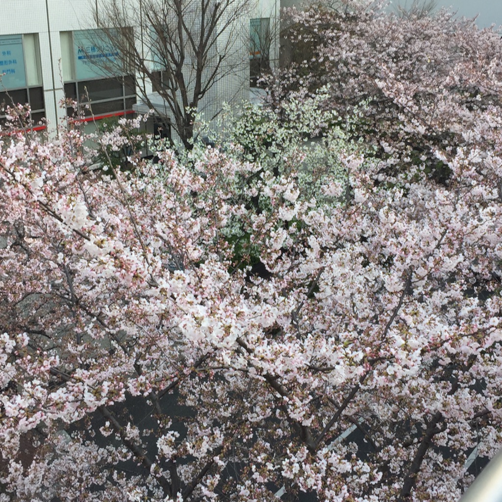 f:id:ktoku3:20160403134245j:image f:id:ktoku3:20160403134245j:image