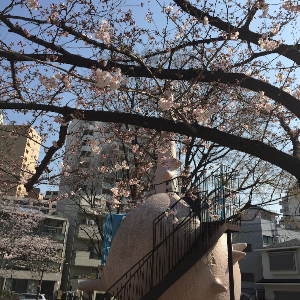 f:id:ktoku3:20160403134420j:image f:id:ktoku3:20160403134420j:image