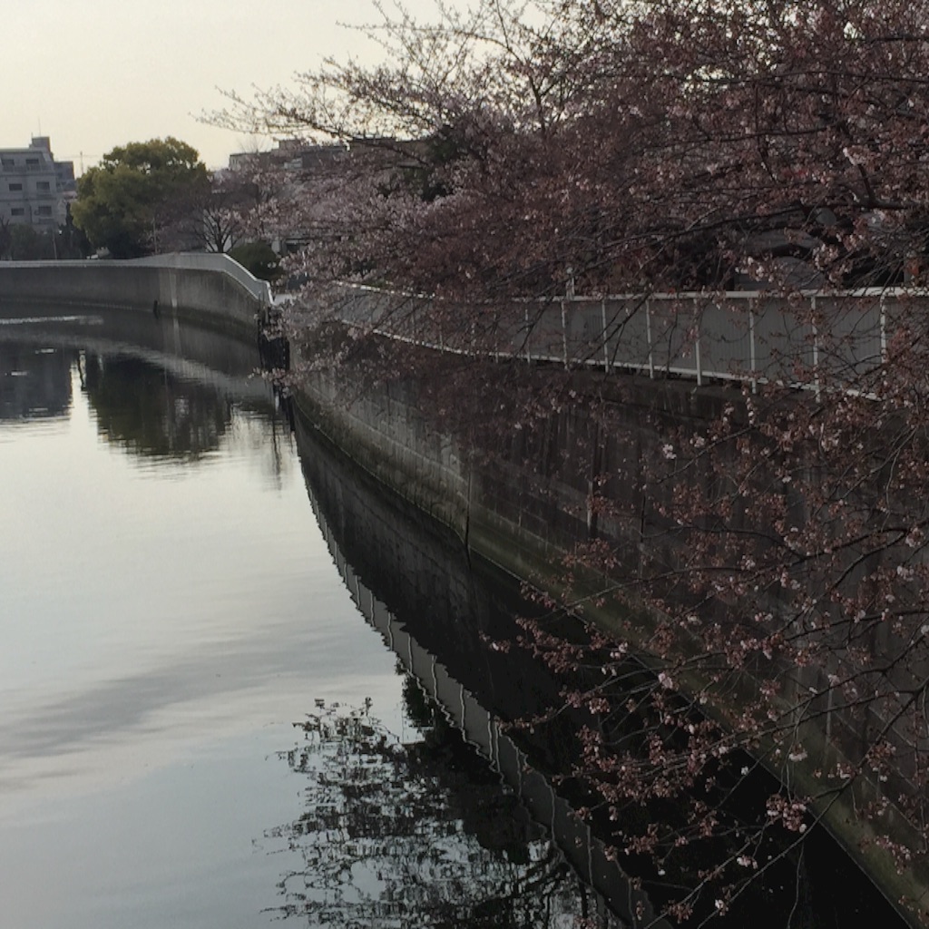 f:id:ktoku3:20160403134523j:image f:id:ktoku3:20160403134523j:image