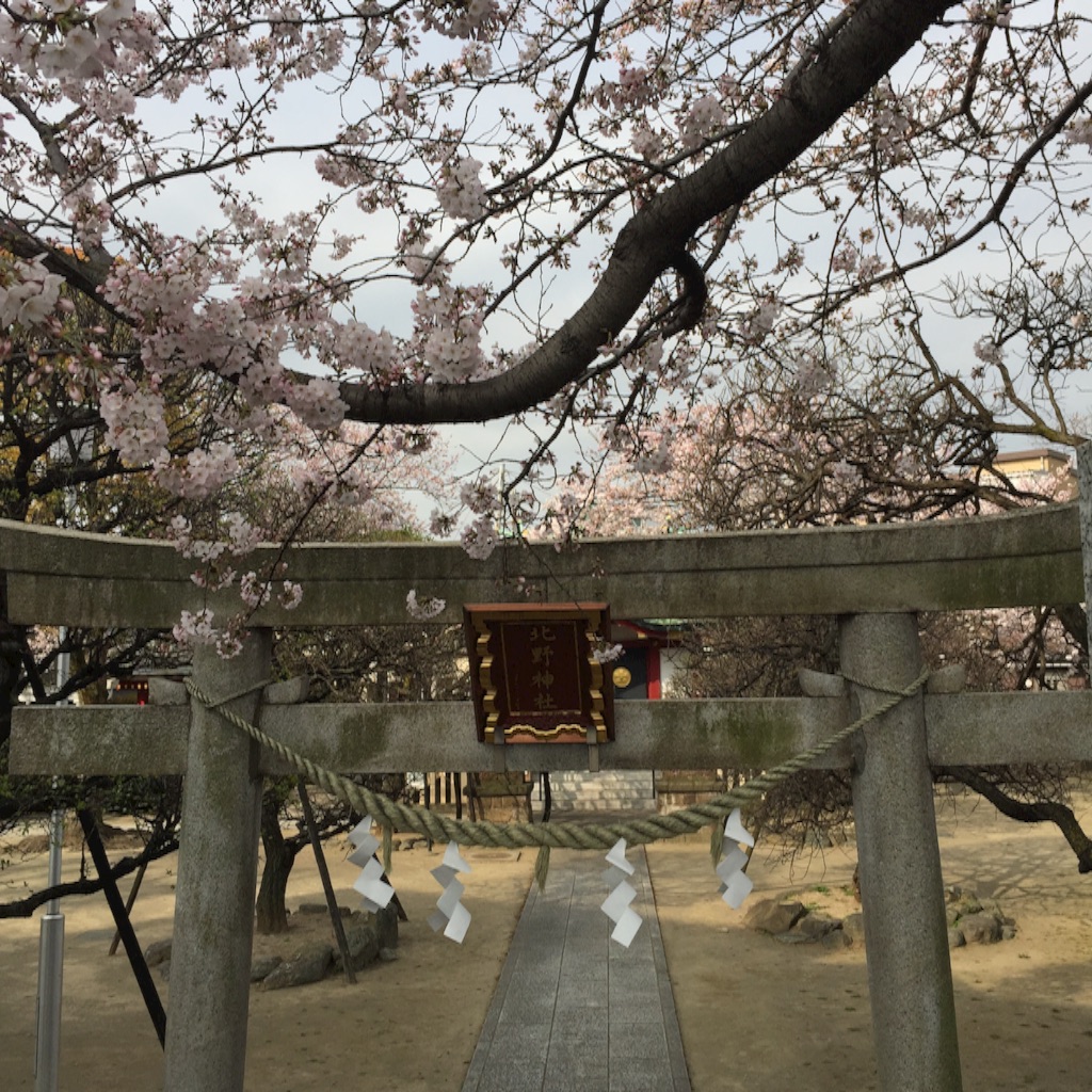 f:id:ktoku3:20160403134601j:image f:id:ktoku3:20160403134601j:image