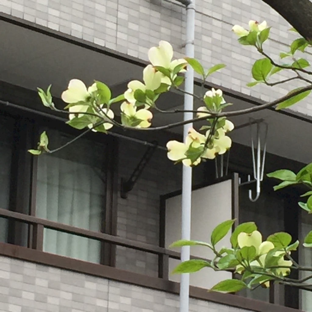f:id:ktoku3:20160413183834j:image f:id:ktoku3:20160413183834j:image