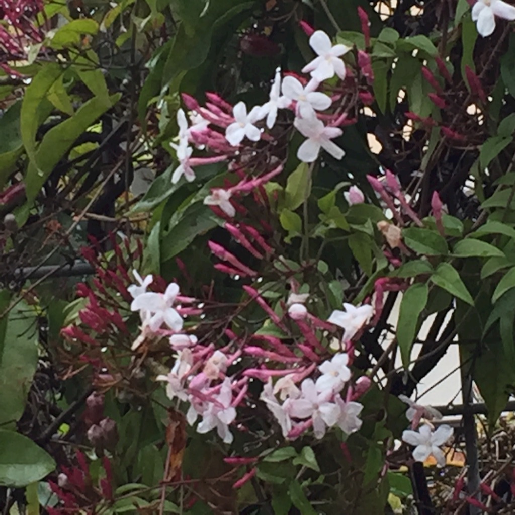 f:id:ktoku3:20160416141324j:image f:id:ktoku3:20160416141324j:image