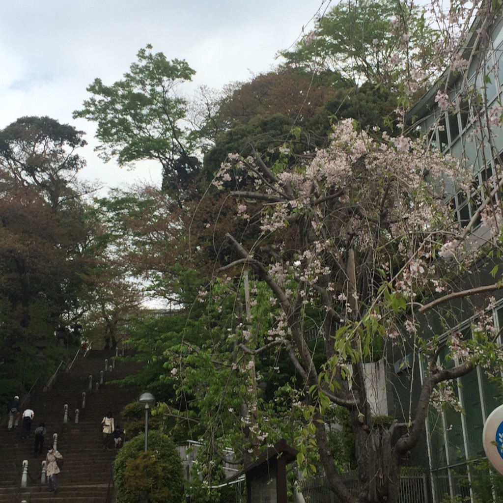 f:id:ktoku3:20160416141934j:image f:id:ktoku3:20160416141934j:image