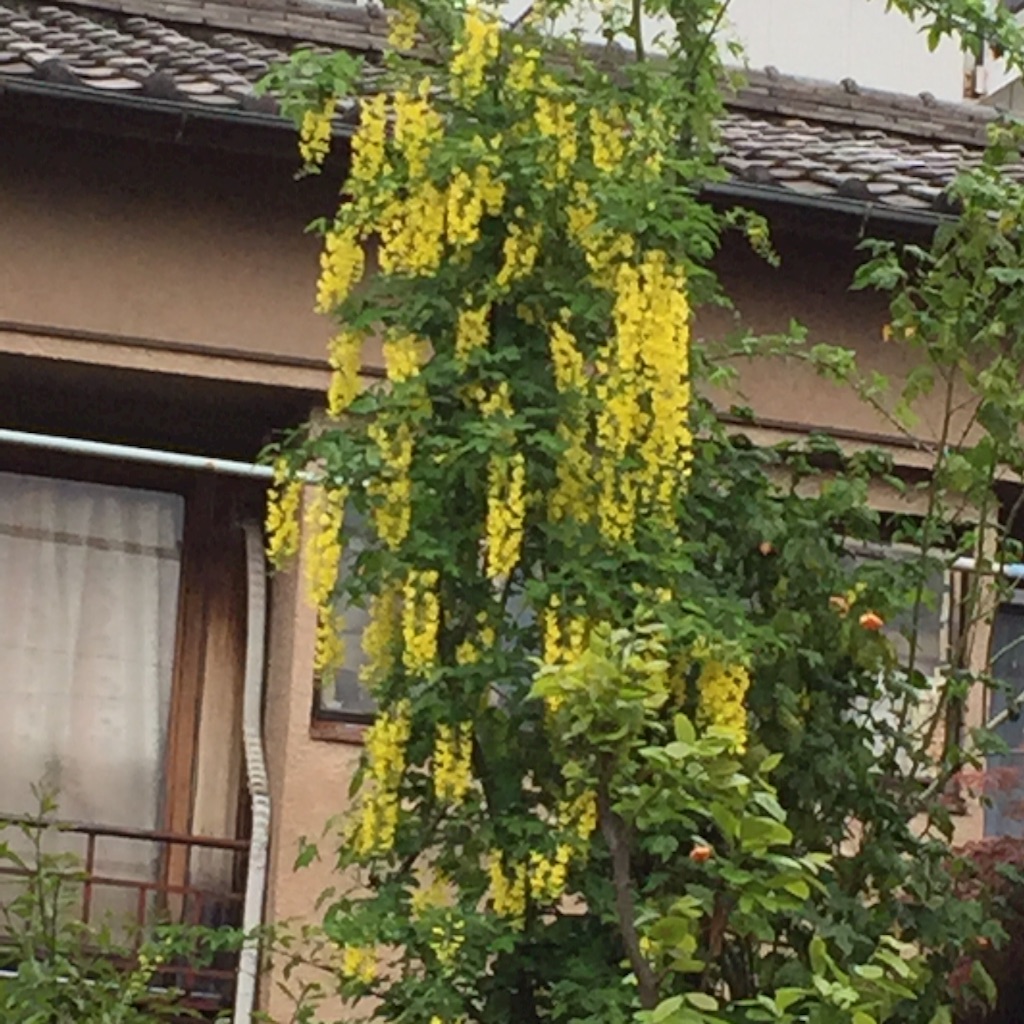 f:id:ktoku3:20160421191713j:image f:id:ktoku3:20160421191713j:image