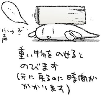 f:id:ktos_sb:20100626033823j:image f:id:ktos_sb:20100626033823j:image