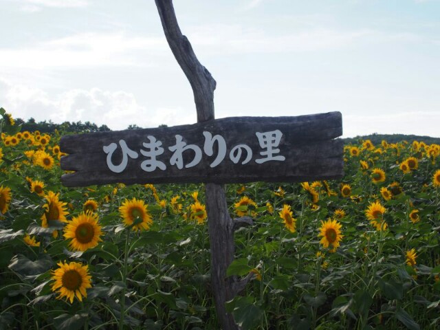 f:id:ku-days:20150910222605j:image f:id:ku-days:20150910222605j:image