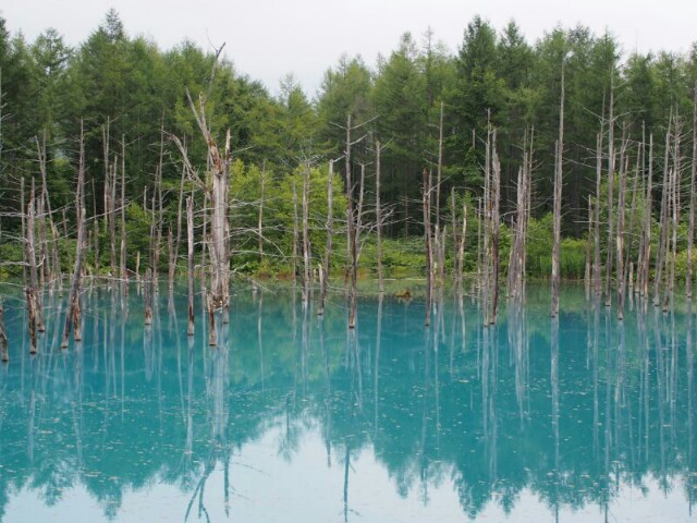 f:id:ku-days:20150914191915j:image f:id:ku-days:20150914191915j:image