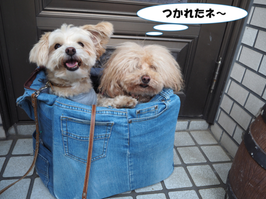 f:id:kubiwakoubou:20150502225358j:plain f:id:kubiwakoubou:20150502225358j:plain