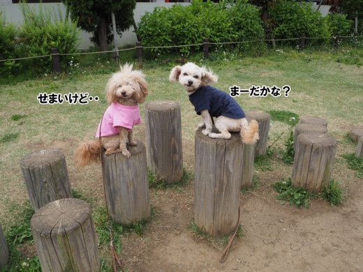 f:id:kubiwakoubou:20150512193919j:plain f:id:kubiwakoubou:20150512193919j:plain