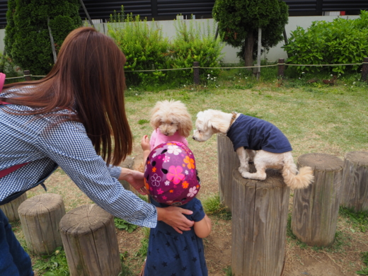 f:id:kubiwakoubou:20150512194230j:plain f:id:kubiwakoubou:20150512194230j:plain