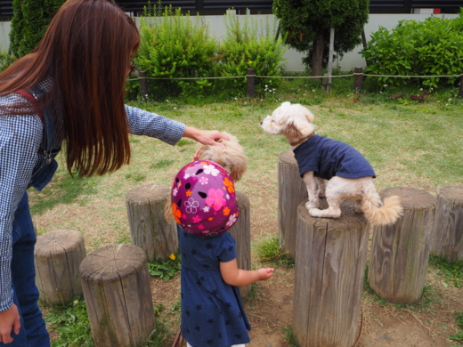 f:id:kubiwakoubou:20150512195215j:plain f:id:kubiwakoubou:20150512195215j:plain