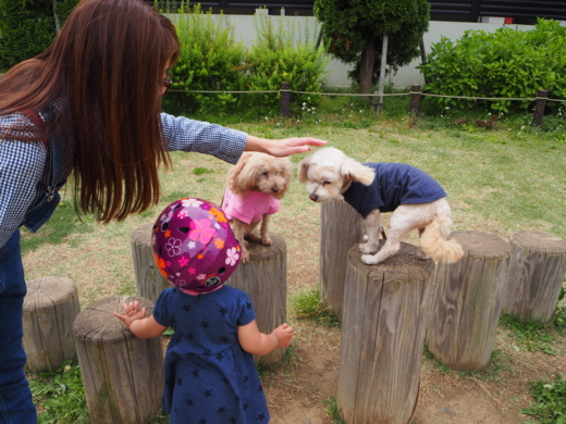 f:id:kubiwakoubou:20150512195415j:plain f:id:kubiwakoubou:20150512195415j:plain