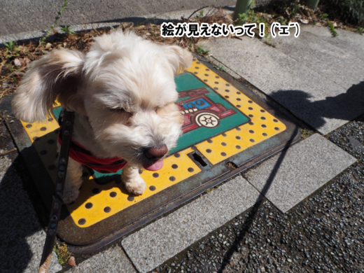 f:id:kubiwakoubou:20150513204232j:plain f:id:kubiwakoubou:20150513204232j:plain