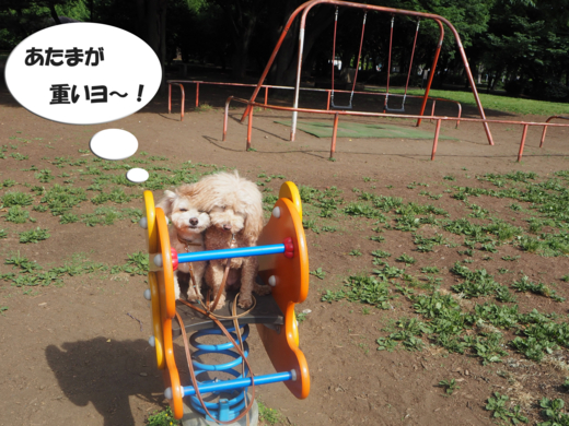 f:id:kubiwakoubou:20150602201340j:plain f:id:kubiwakoubou:20150602201340j:plain