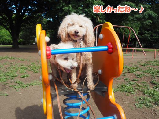 f:id:kubiwakoubou:20150602202050j:plain f:id:kubiwakoubou:20150602202050j:plain