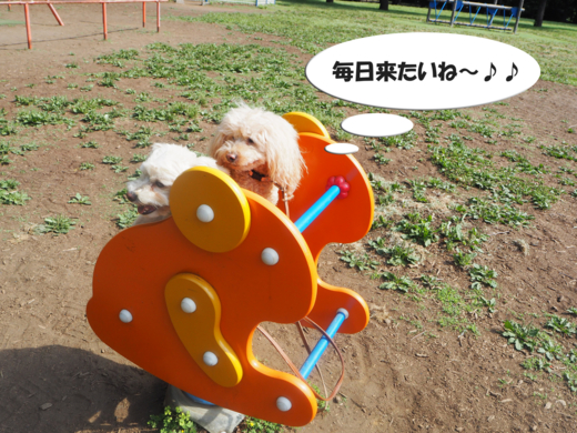 f:id:kubiwakoubou:20150602202614j:plain f:id:kubiwakoubou:20150602202614j:plain