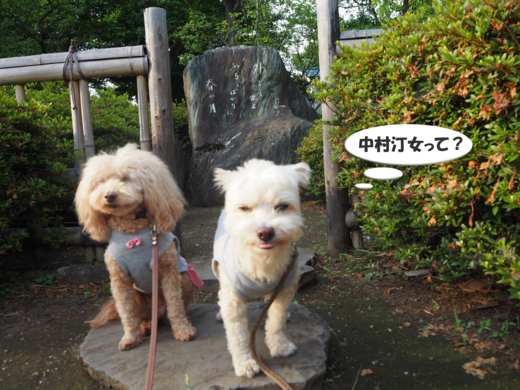 f:id:kubiwakoubou:20150610221813j:plain f:id:kubiwakoubou:20150610221813j:plain