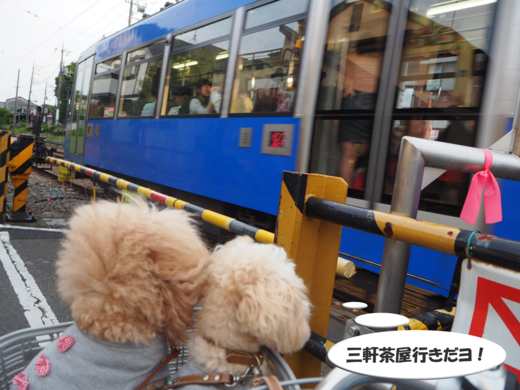 f:id:kubiwakoubou:20150610225014j:plain f:id:kubiwakoubou:20150610225014j:plain