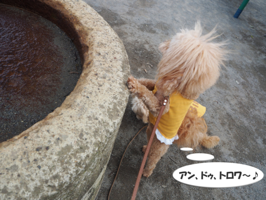 f:id:kubiwakoubou:20150611203518j:plain f:id:kubiwakoubou:20150611203518j:plain