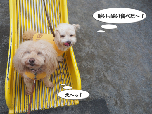 f:id:kubiwakoubou:20150611204628j:plain f:id:kubiwakoubou:20150611204628j:plain