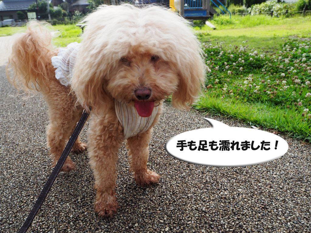 f:id:kubiwakoubou:20150726220831j:plain f:id:kubiwakoubou:20150726220831j:plain