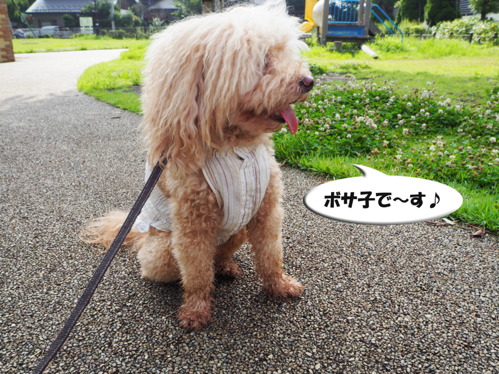 f:id:kubiwakoubou:20150726221211j:plain f:id:kubiwakoubou:20150726221211j:plain