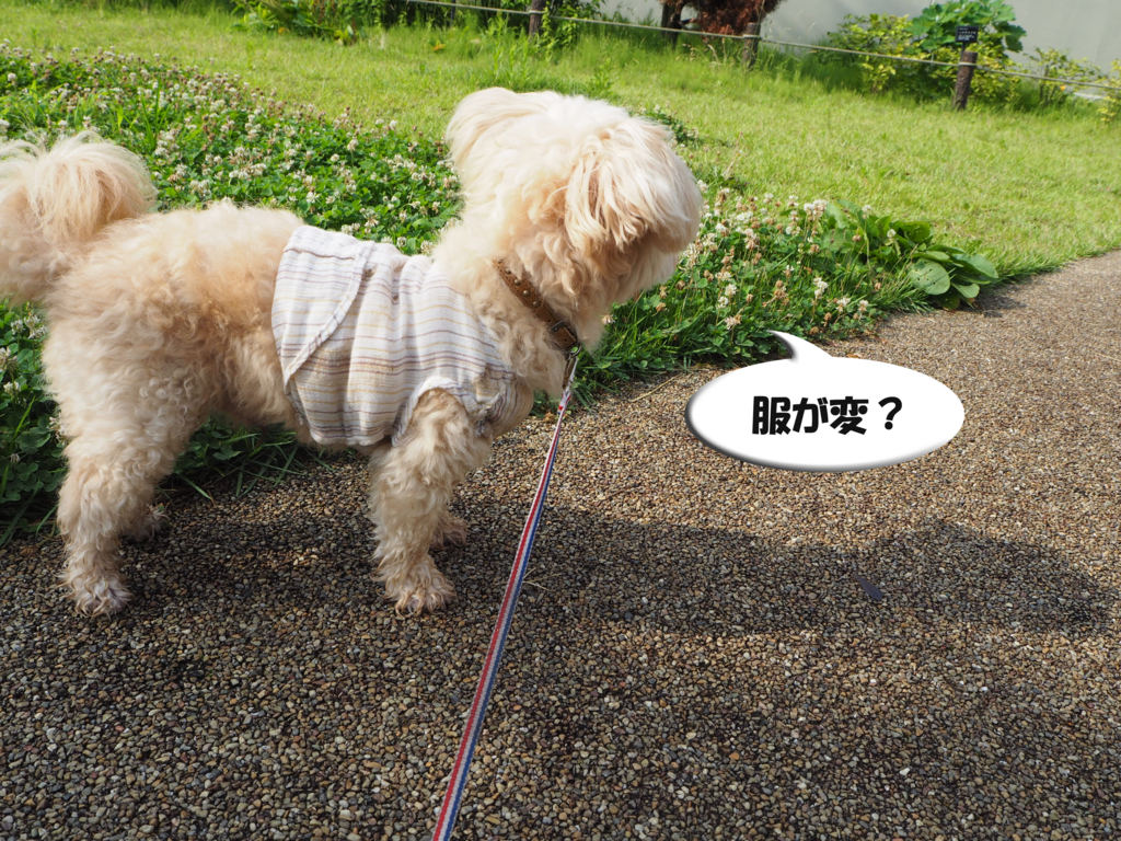 f:id:kubiwakoubou:20150726221655j:plain f:id:kubiwakoubou:20150726221655j:plain