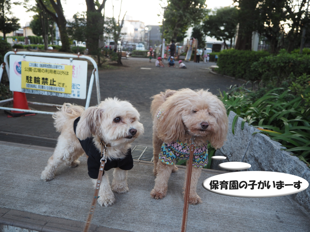 f:id:kubiwakoubou:20151007211900j:plain f:id:kubiwakoubou:20151007211900j:plain