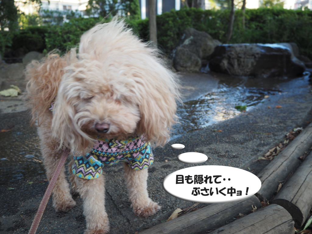 f:id:kubiwakoubou:20151007212102j:plain f:id:kubiwakoubou:20151007212102j:plain