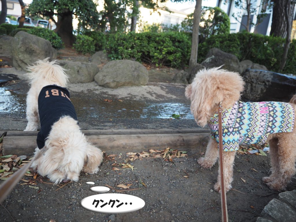 f:id:kubiwakoubou:20151007212234j:plain f:id:kubiwakoubou:20151007212234j:plain