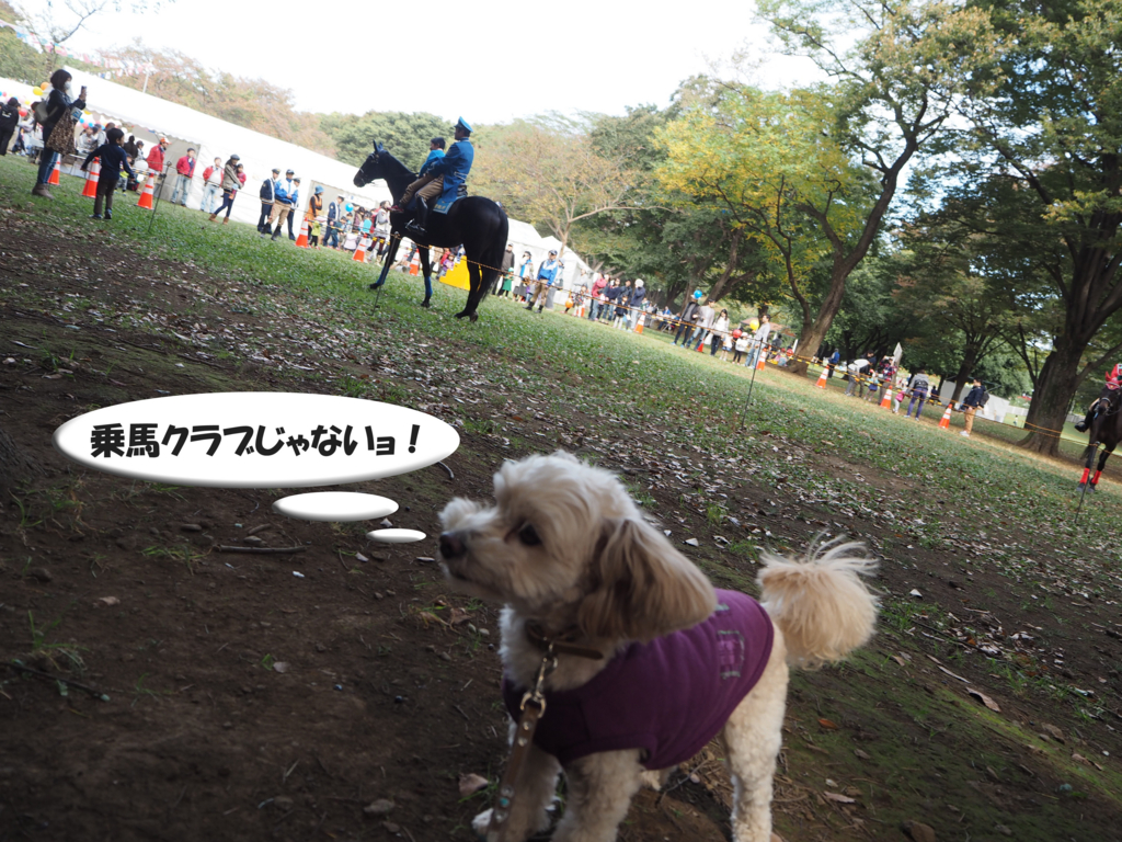 f:id:kubiwakoubou:20151101220958j:plain f:id:kubiwakoubou:20151101220958j:plain