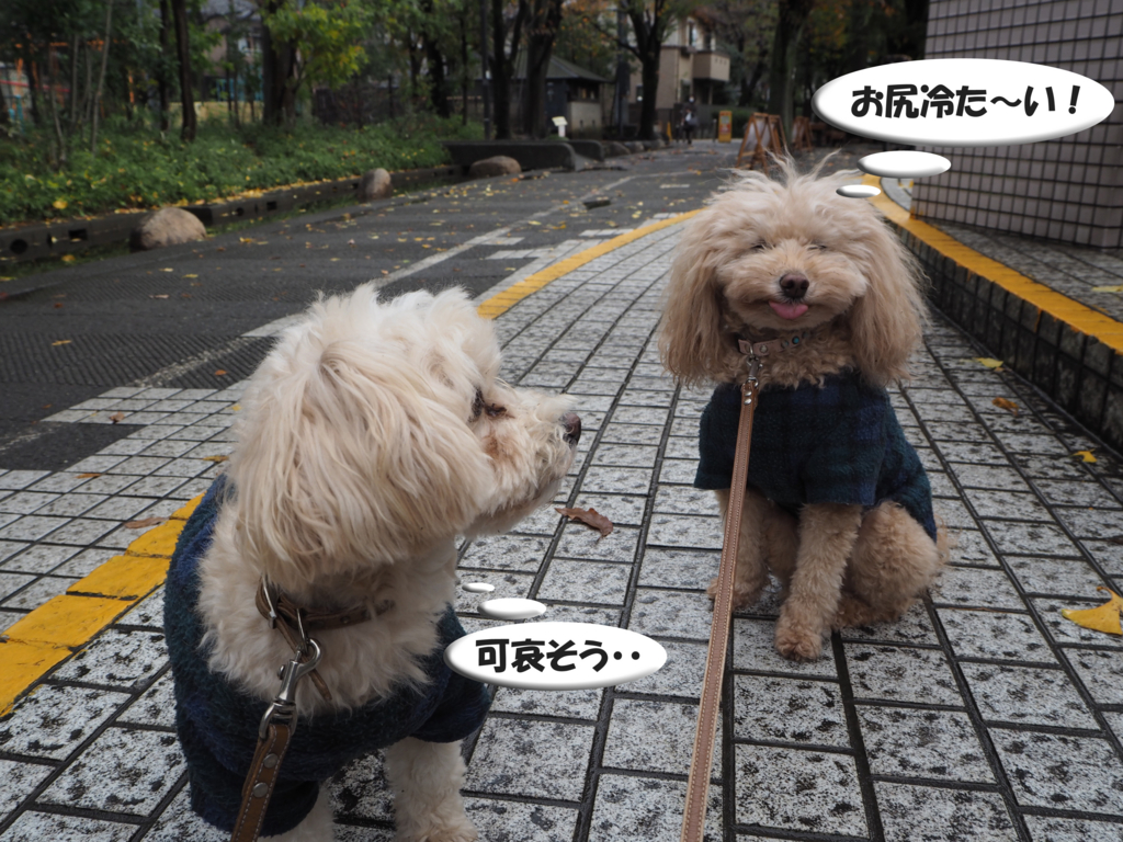 f:id:kubiwakoubou:20151126225337j:plain f:id:kubiwakoubou:20151126225337j:plain