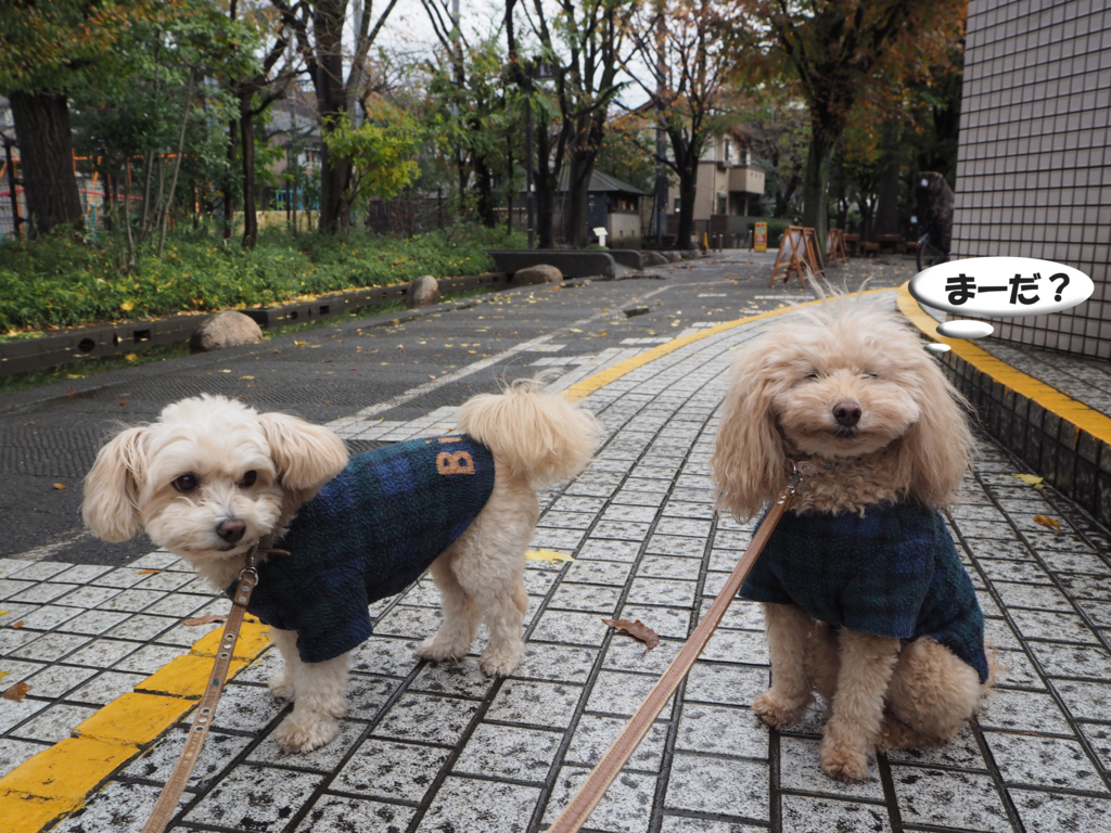 f:id:kubiwakoubou:20151126225802j:plain f:id:kubiwakoubou:20151126225802j:plain