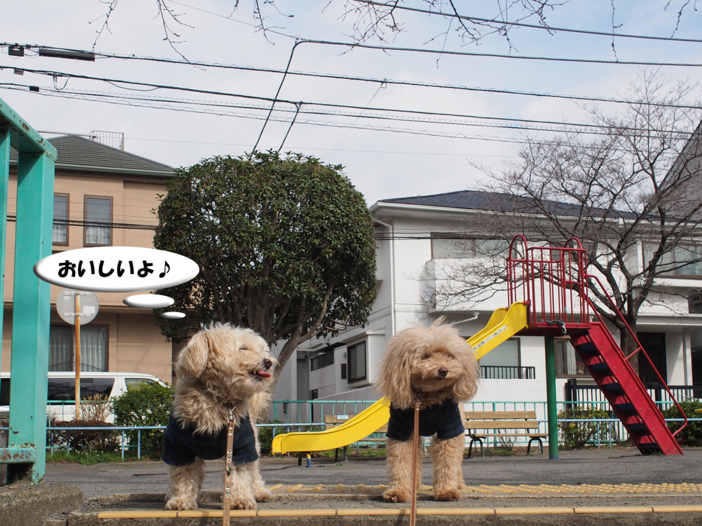 f:id:kubiwakoubou:20160316212710j:plain f:id:kubiwakoubou:20160316212710j:plain