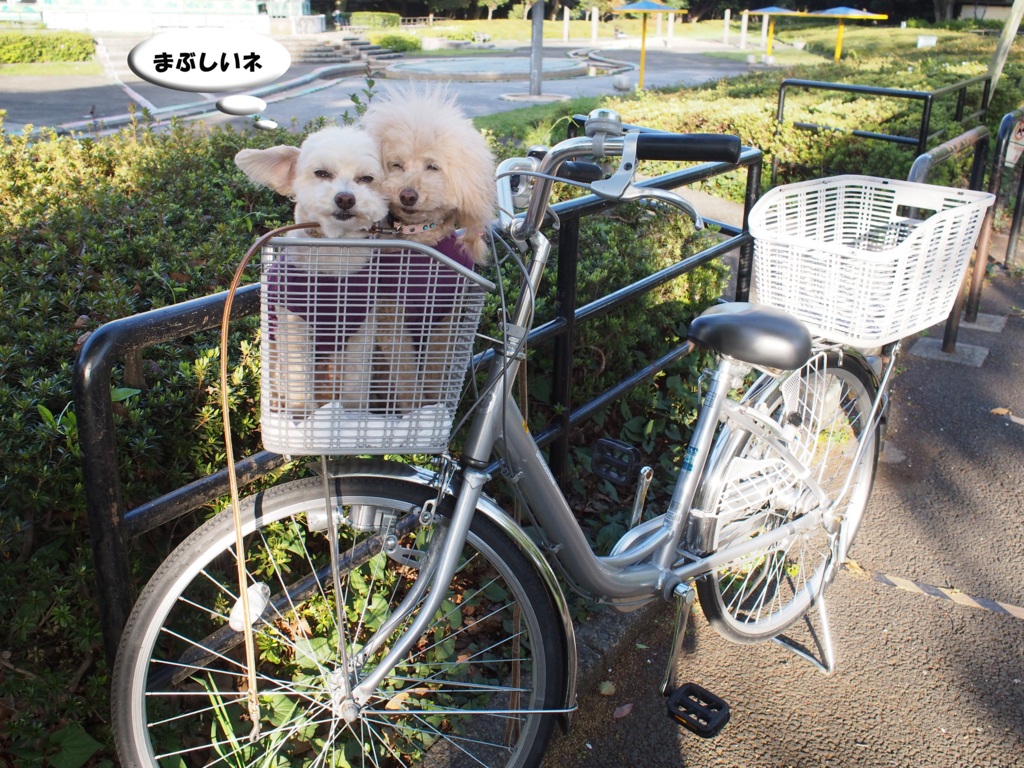 f:id:kubiwakoubou:20160415213722j:plain f:id:kubiwakoubou:20160415213722j:plain