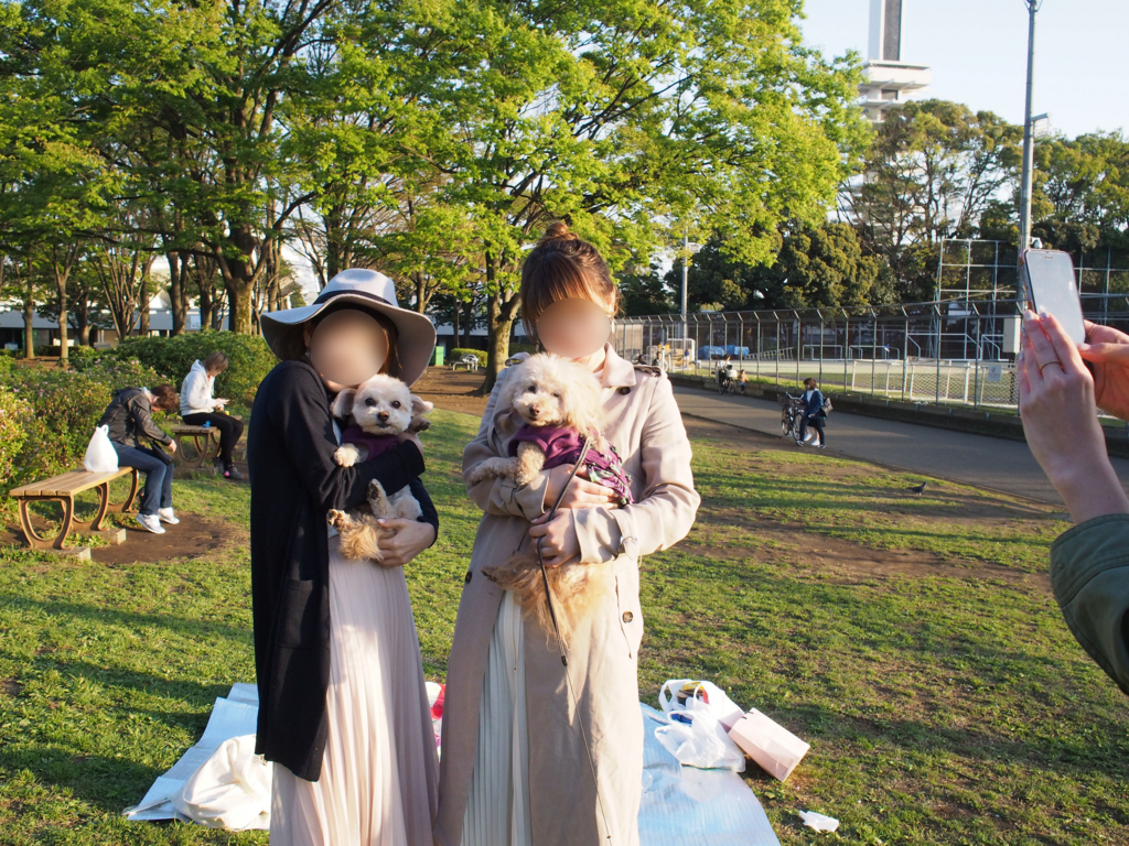f:id:kubiwakoubou:20160415214353j:plain f:id:kubiwakoubou:20160415214353j:plain