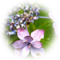 f:id:kudakurage:20111113163503p:image:w100 f:id:kudakurage:20111113163503p:image:w100