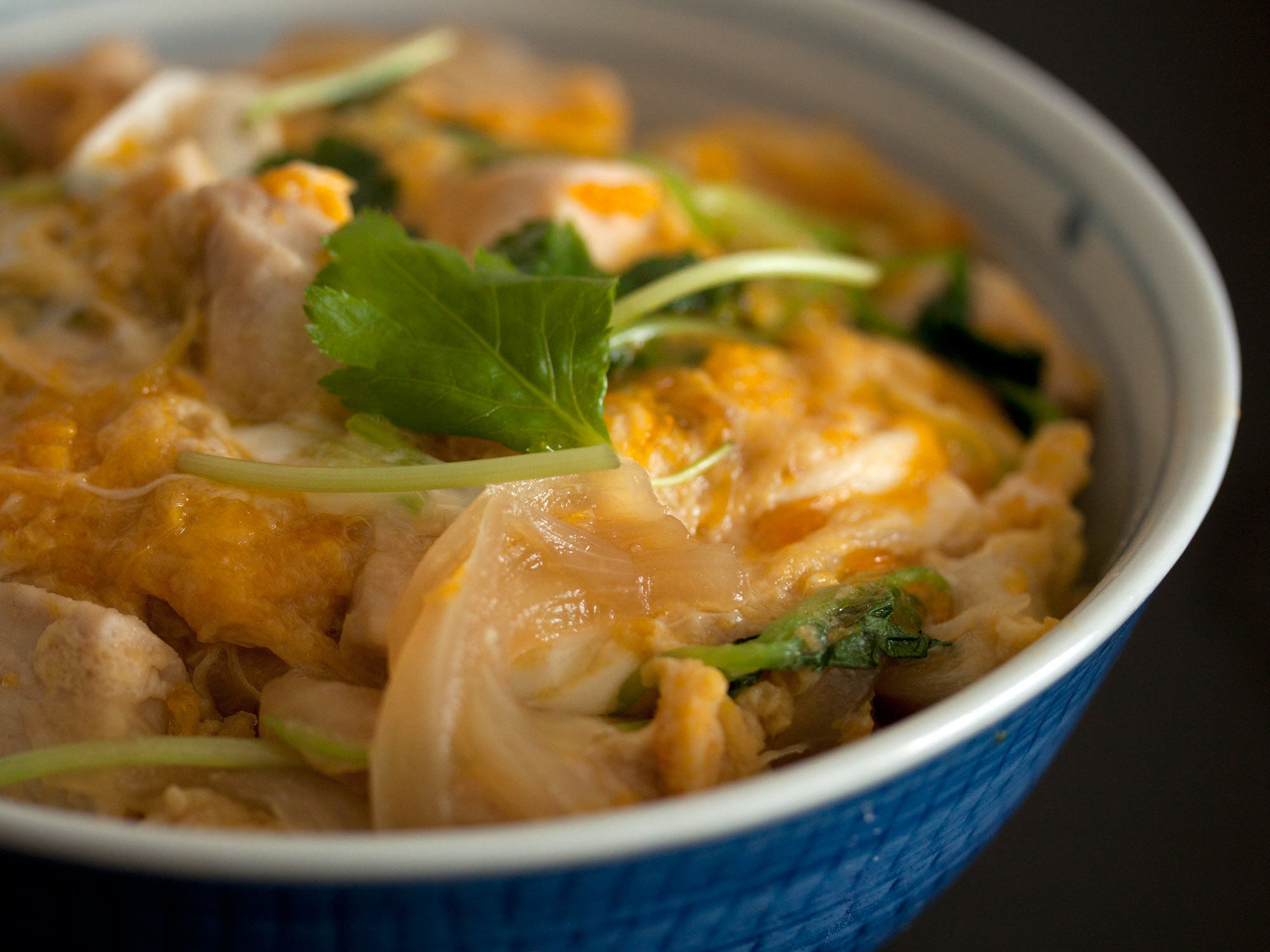 親子丼 f:id:kudakurage:20120323081246j:plain