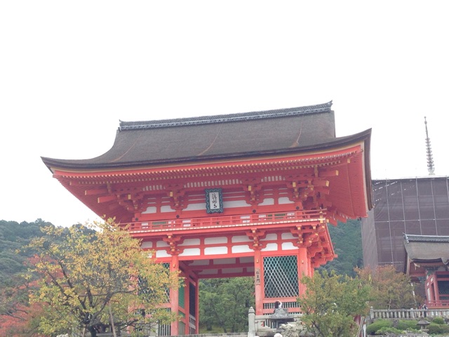 f:id:kudamono1997:20141102160051j:plain f:id:kudamono1997:20141102160051j:plain