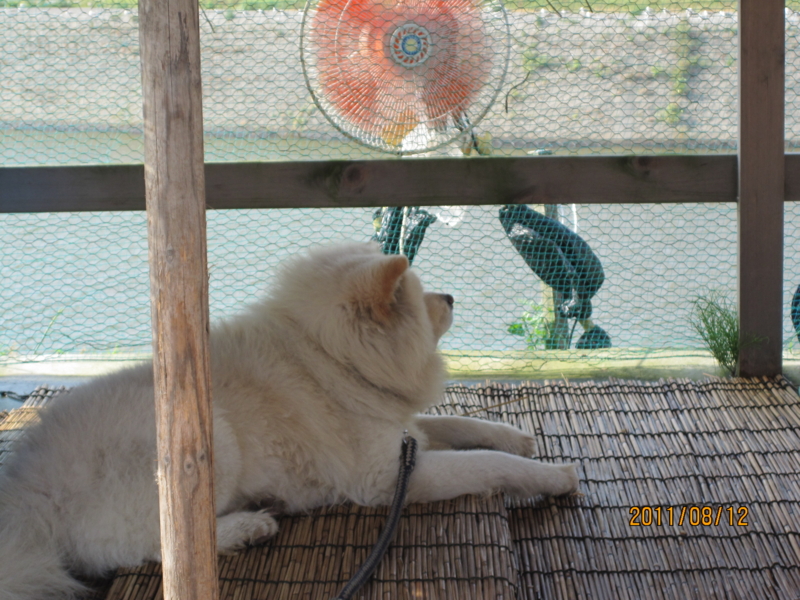 f:id:kudo_iku:20110812153951j:image:w640
