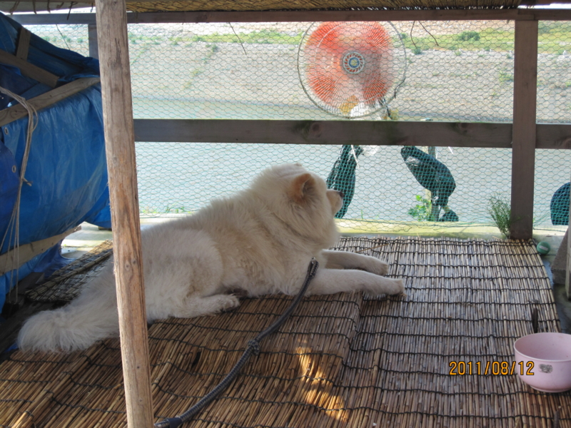 f:id:kudo_iku:20110812154116j:image:w640