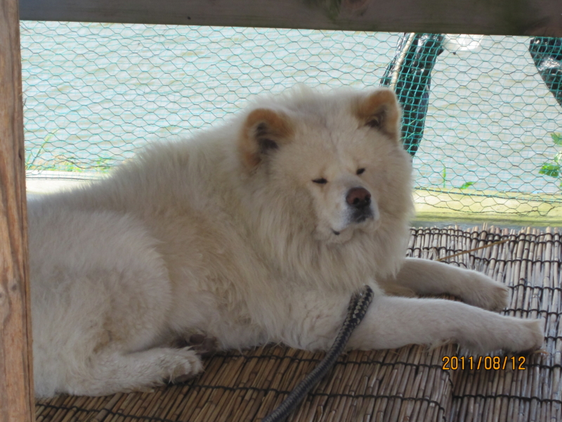 f:id:kudo_iku:20110812154250j:image:w640