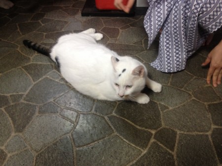 f:id:kuenishi:20111123162747j:image:right f:id:kuenishi:20111123162747j:image:right